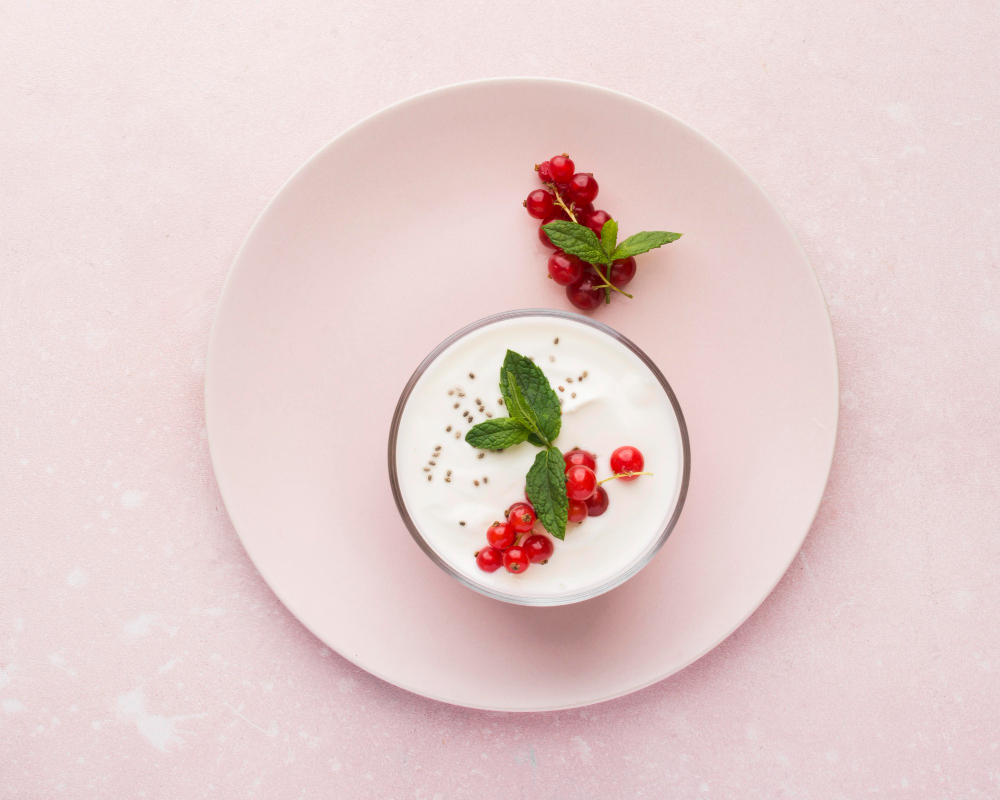 Minimalist of yogurt and cranberries