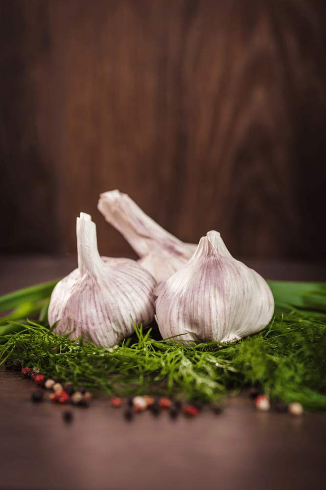 Close up of garlic on green herbs